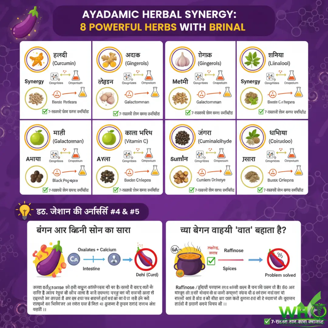 (Eggplant) Brinjal Benefits: बैंगन खाने के 12 वैज्ञानिक फायदे, नुकसान और सही तरीका | King of Vegetable 5 Brinjal Benefits 1 1