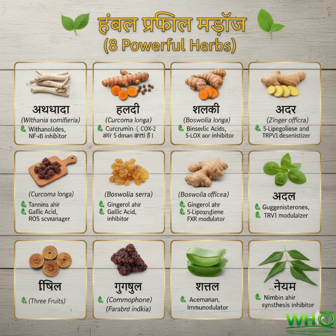 Cancer Pain Home Treatment: कैंसर के दर्द से राहत के 12 आयुर्वेदिक उपाय | Integrative Oncology Relief 5 Cancer Pain Home Treatment 1 1