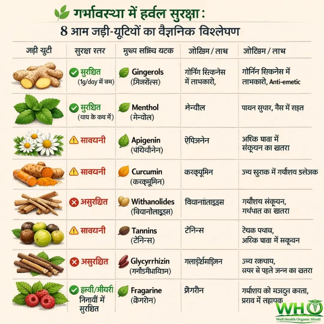 Pregnancy Diet Plan 1 1