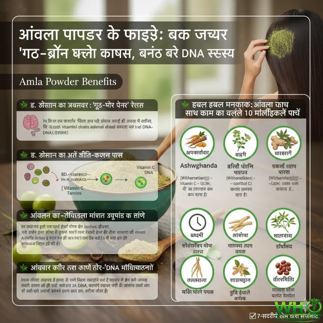 Amla Powder Benefits 1 1