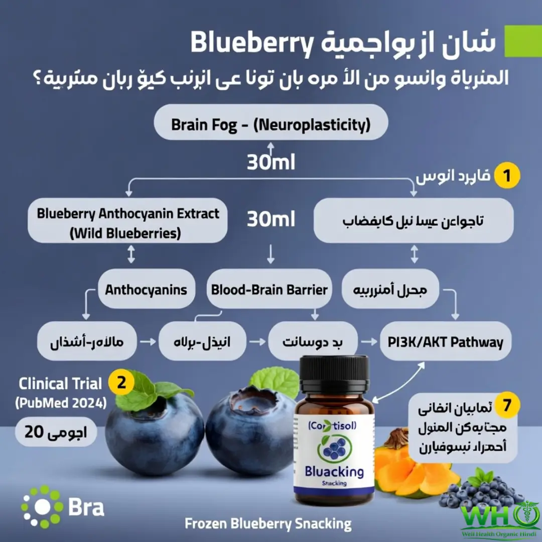 Blueberry Brain Boosting Benefits 1