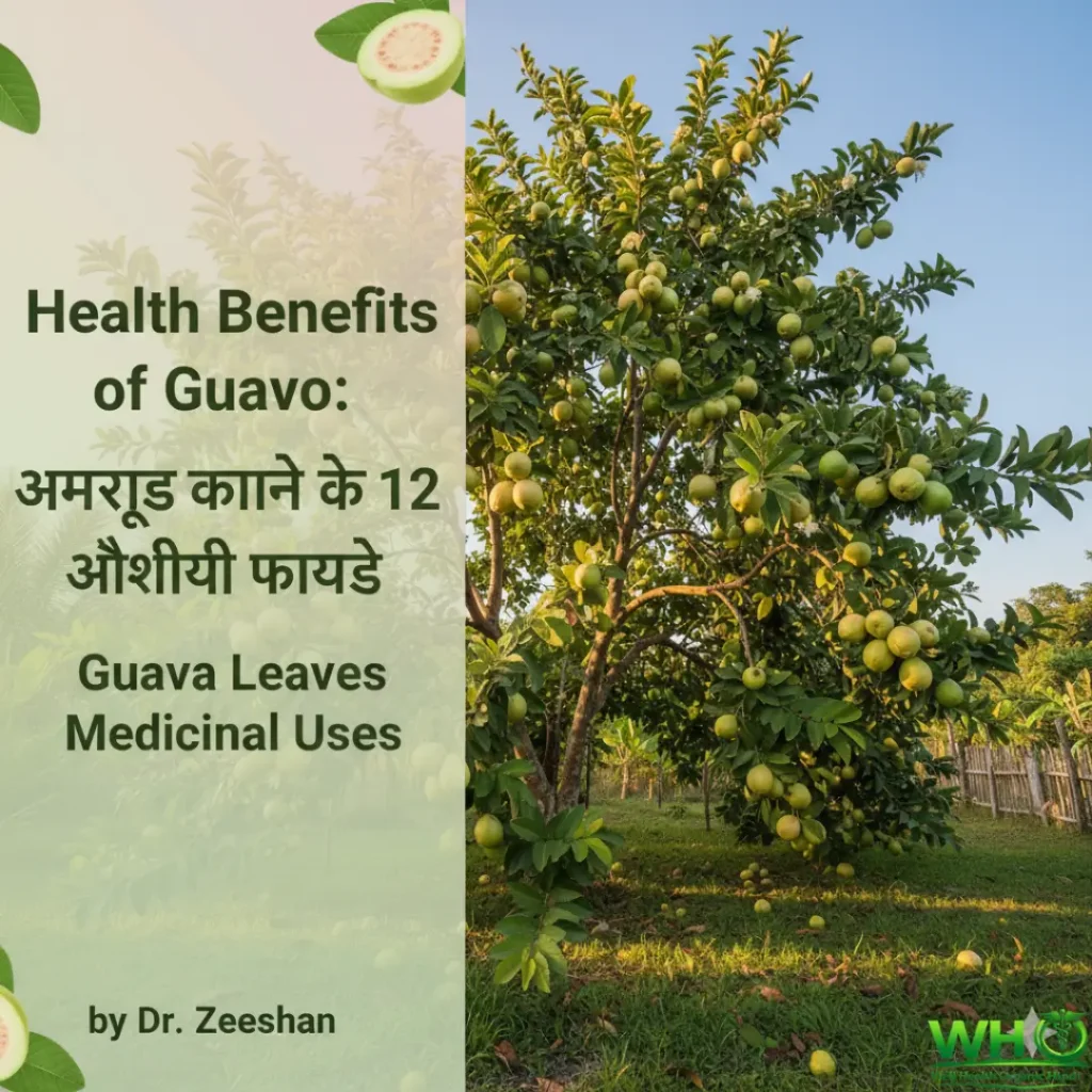 Health Benefits of Guava