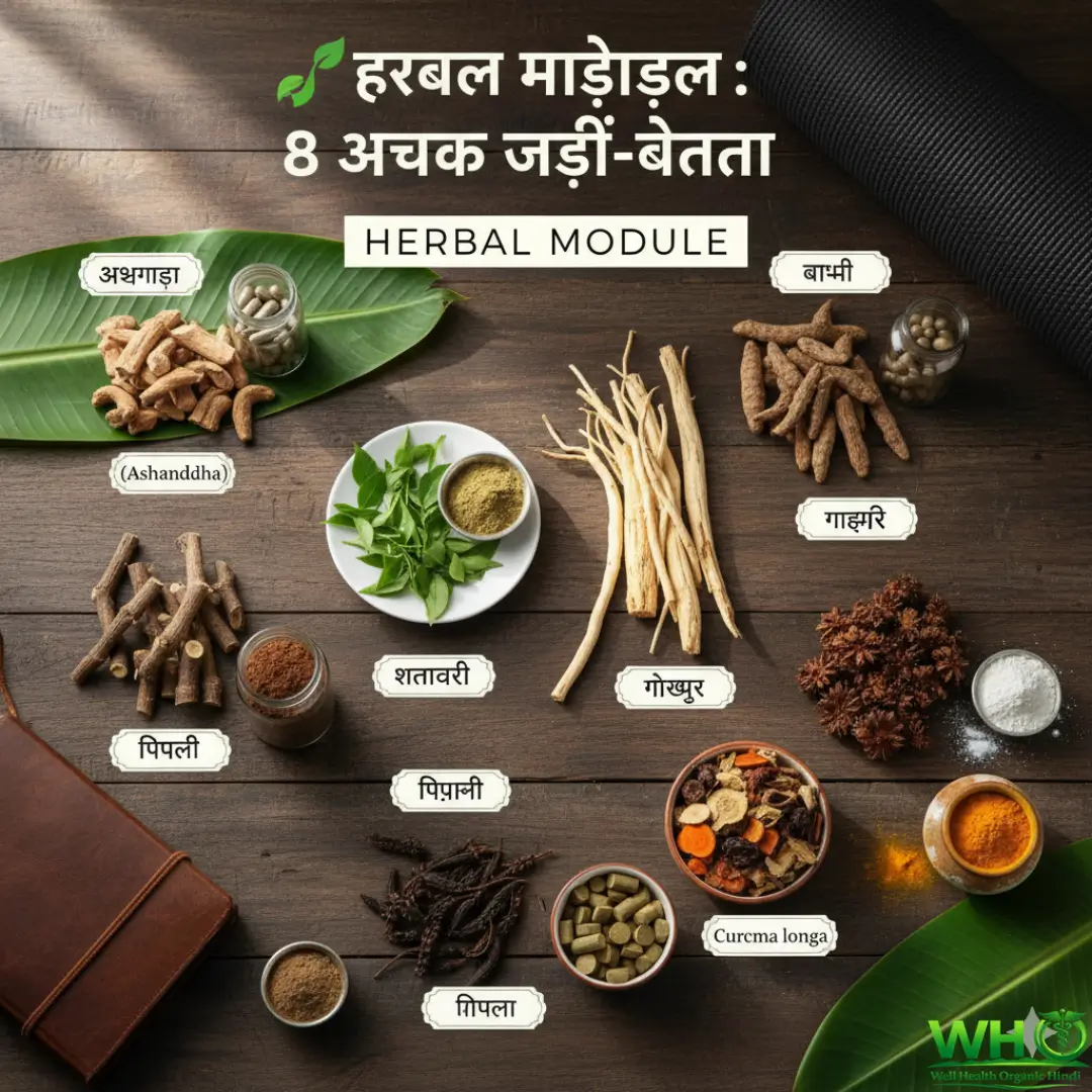 Yoga Diet Mastery in hindi 2