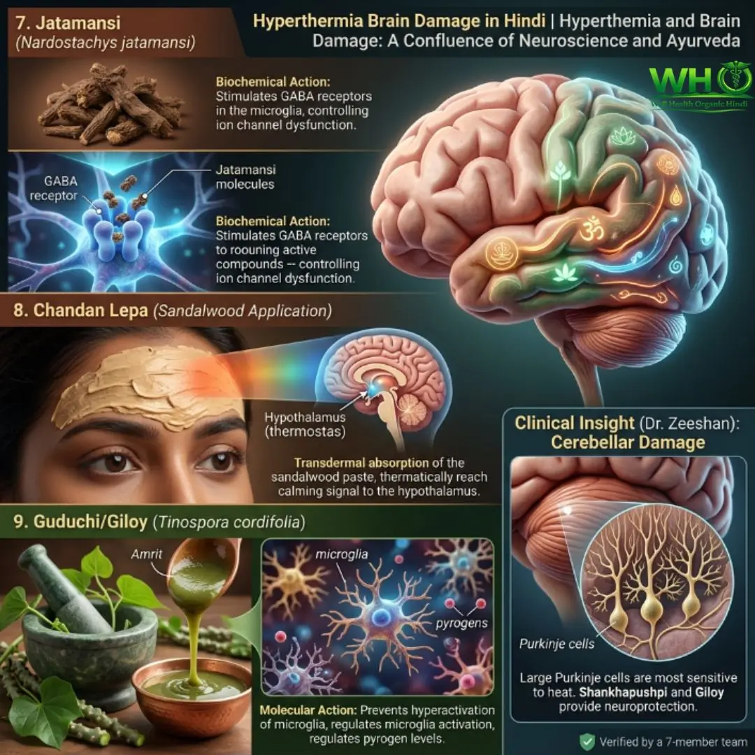 Hyperthermia Brain Damage in Hindi 2